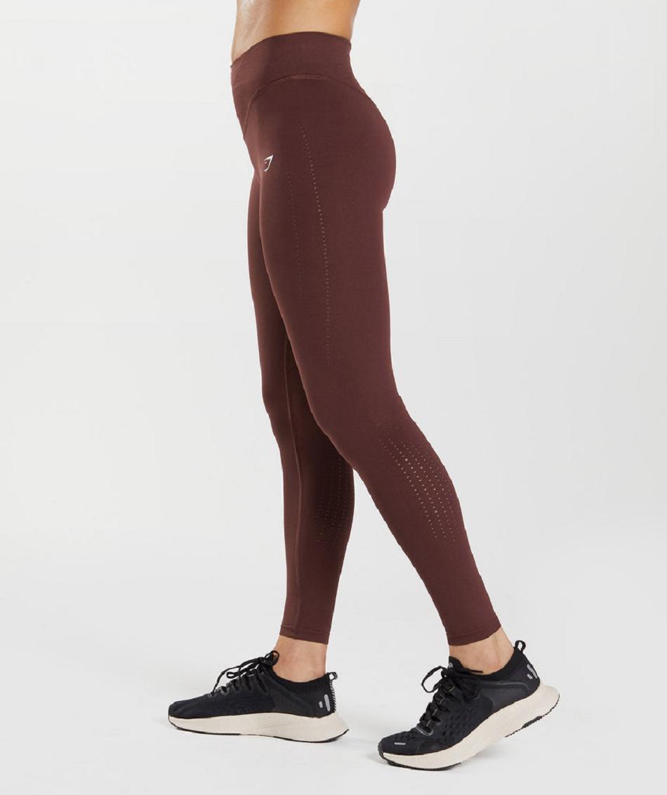 Gymshark Sweat Seamless Sculpt Ženske Tajice Bordo | HR 4005GSO